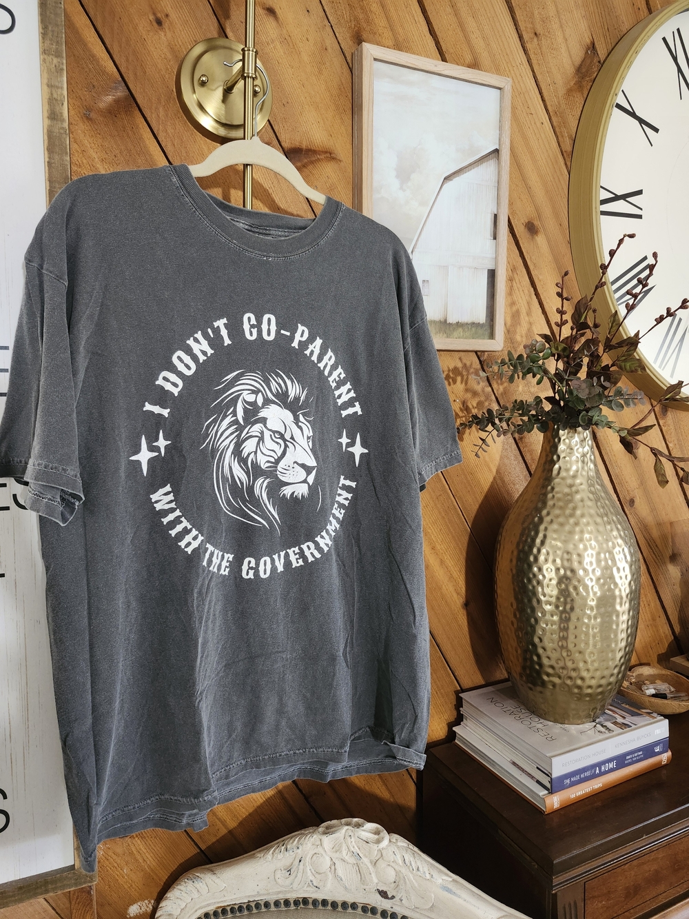 Vintage-Style Graphic Tee Comfort Colors, 'I Don't Co-Parent With The Government